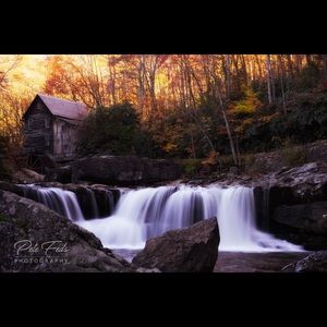 Meet your Posher, Mitzi